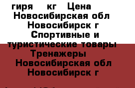 гиря 32 кг › Цена ­ 800 - Новосибирская обл., Новосибирск г. Спортивные и туристические товары » Тренажеры   . Новосибирская обл.,Новосибирск г.